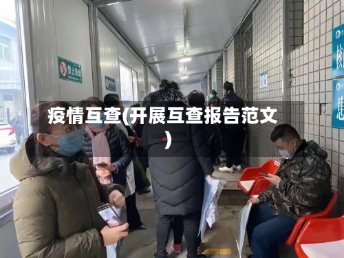 疫情互查(开展互查报告范文)-第3张图片
