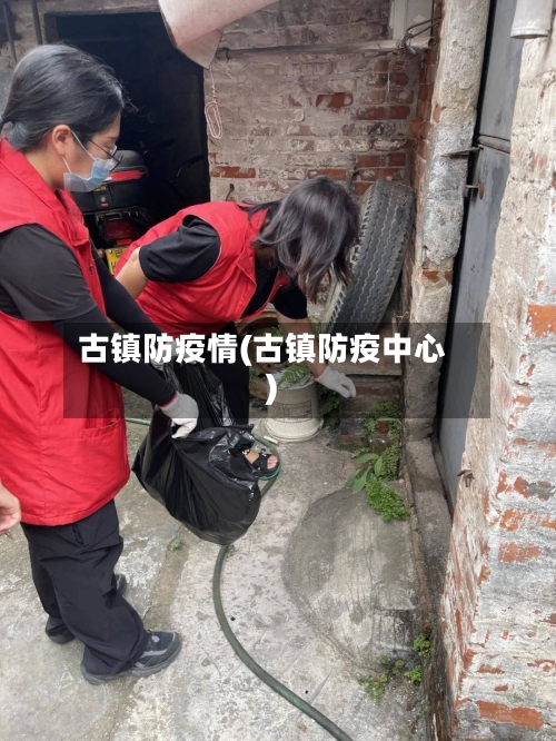 古镇防疫情(古镇防疫中心)-第1张图片