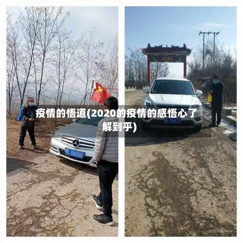 疫情的悟道(2020的疫情的感悟心了解到乎)-第3张图片