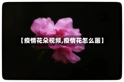 【疫情花朵视频,疫情花怎么画】-第3张图片