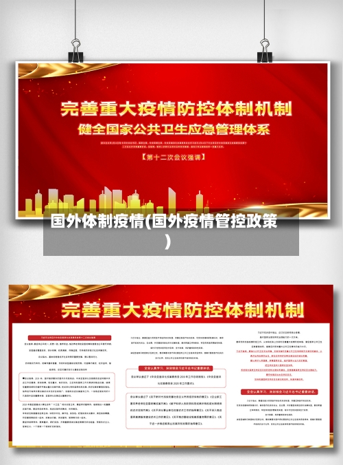 国外体制疫情(国外疫情管控政策)-第2张图片
