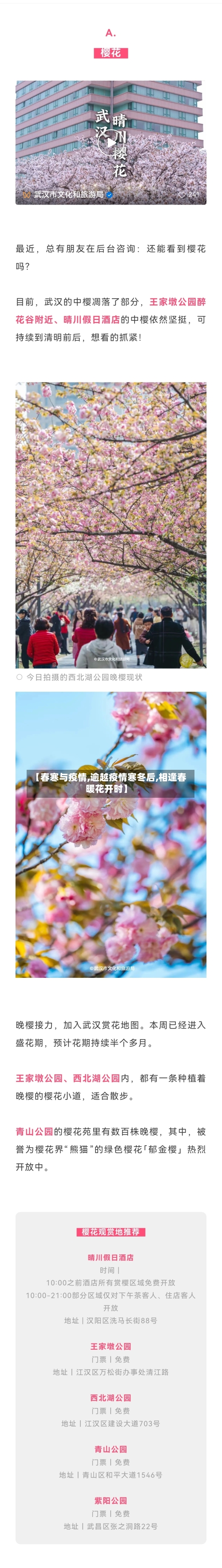 【春寒与疫情,逾越疫情寒冬后,相逢春暖花开时】-第2张图片