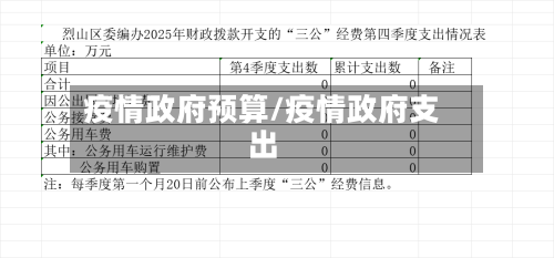 疫情政府预算/疫情政府支出-第2张图片