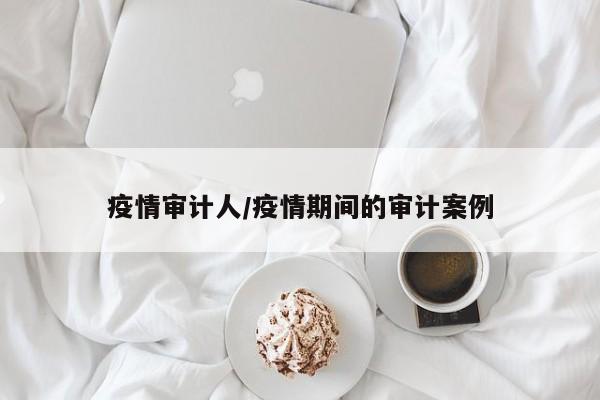 疫情审计人/疫情期间的审计案例